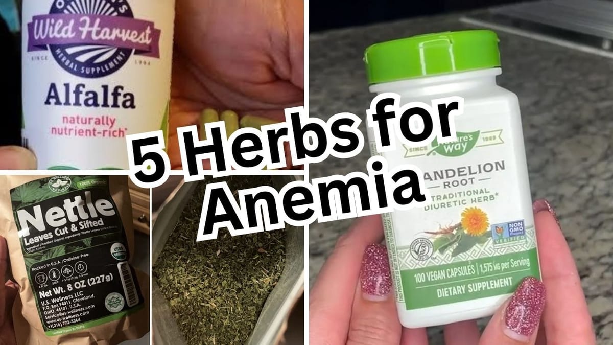 Herb Up 5 Herbs For Anemia That Will Get Your Energy Levels Soaring